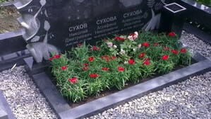 Озеленение цветника